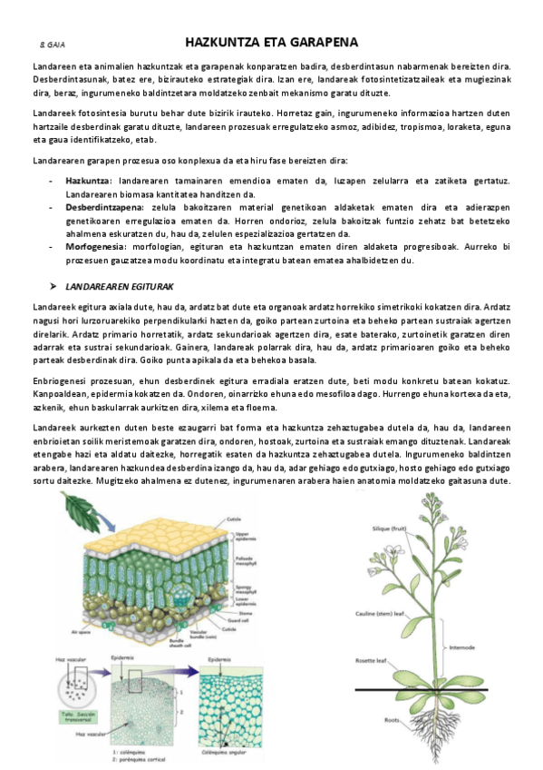 8.-Hazkuntza-eta-garapena.pdf