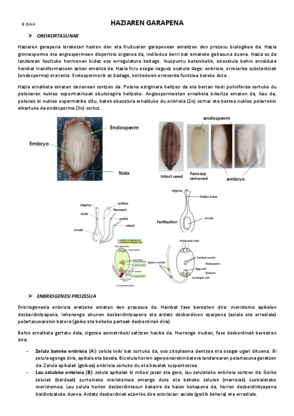 9.-Haziaren-garapena.pdf