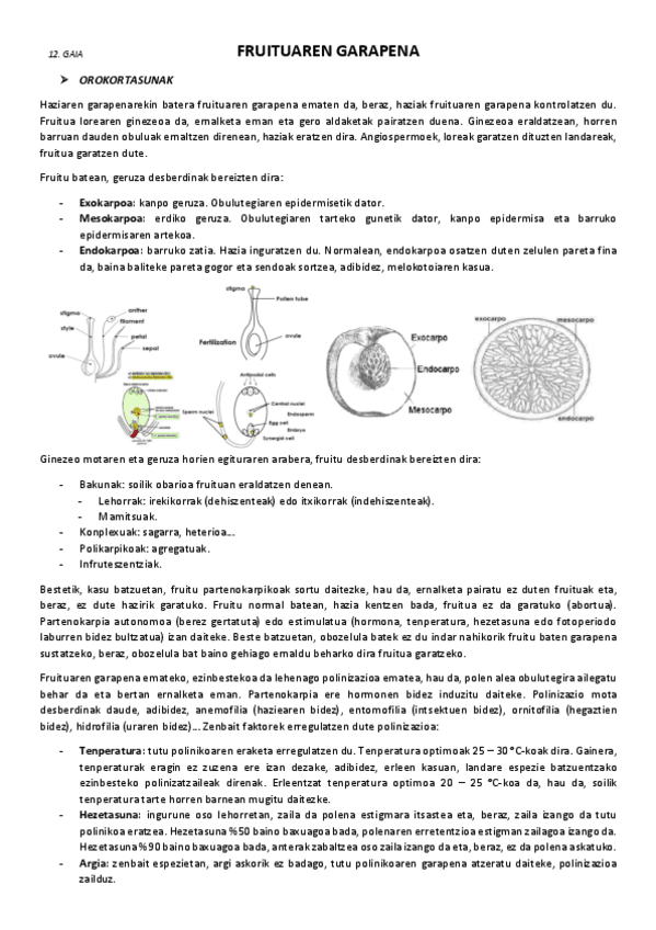 12.-Fruituaren-garapena.pdf