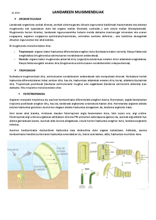 14.-Landareen-mugimenduak.pdf