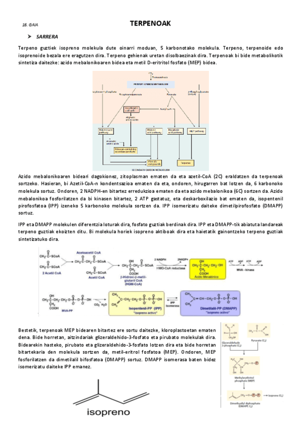 16.-Terpenoak.pdf