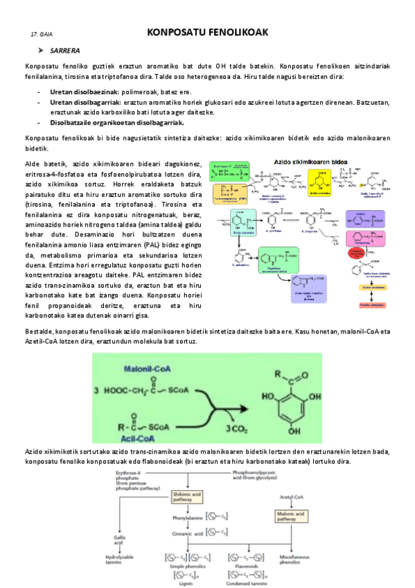 17.-Konposatu-fenolikoak.pdf