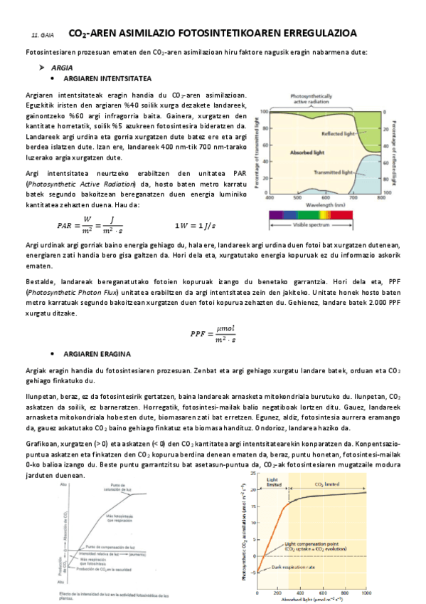 11.-Karbono-dioxidoaren-asimilazio-fotosintetikoaren-erregulazioa.pdf