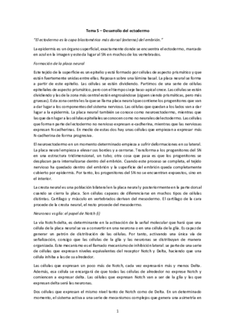 Desarrollo del ectodermo.pdf