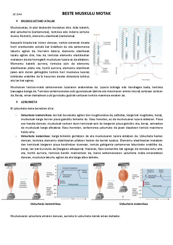 10.-Beste-muskulu-motak.pdf