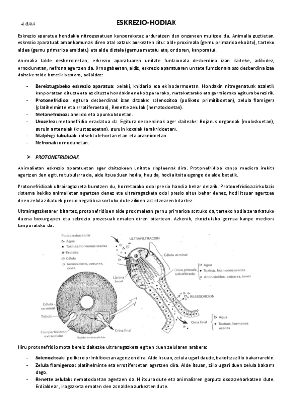 4.-Eskrezio-hodiak.pdf