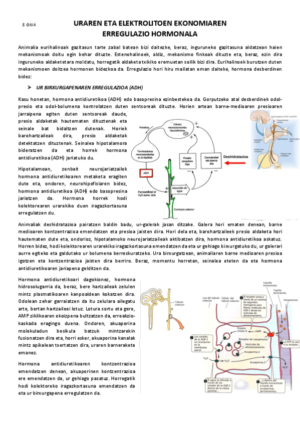 5.-Uraren-eta-elektrolitoen-ekonomiaren-erregulazio-hormonala.pdf
