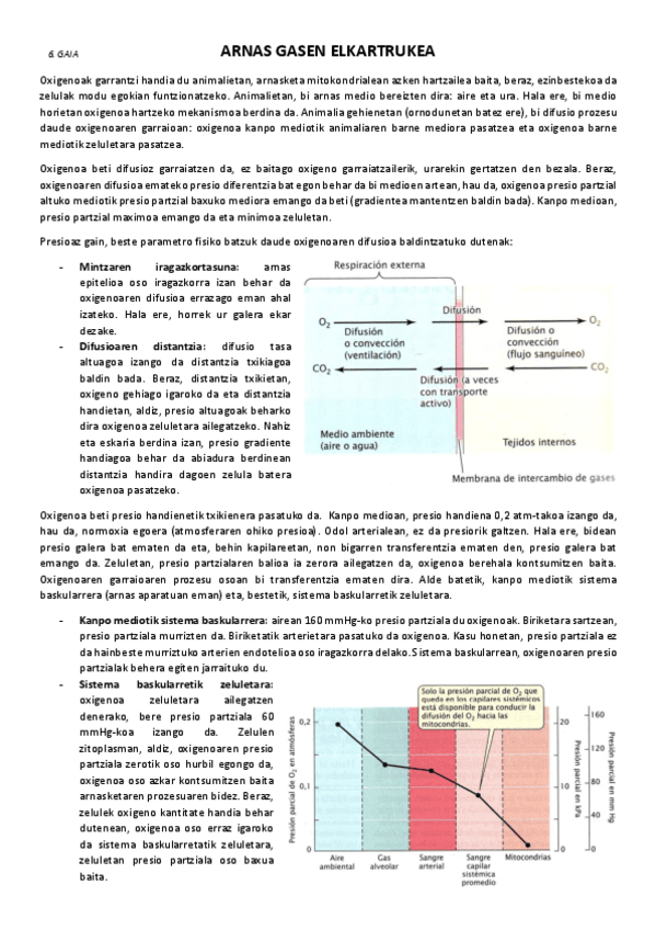 6.-Arnas-gasen-elkartrukea.pdf