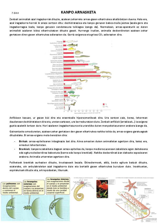 7.-Kanpo-arnasketa.pdf