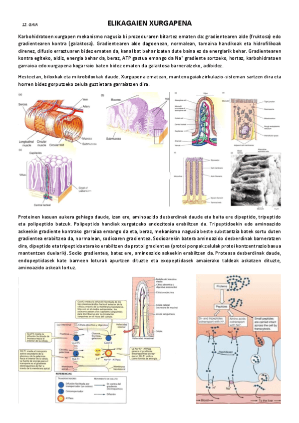 12.-Elikagaien-xurgapena.pdf