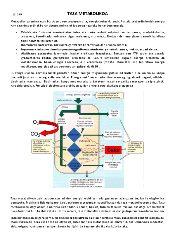 13.-Tasa-metabolikoa.pdf