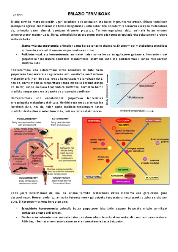 14.-Erlazio-termikoak.pdf