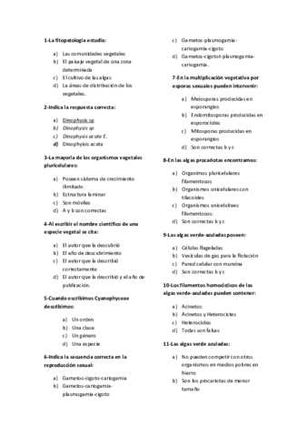 Parcial 1.pdf