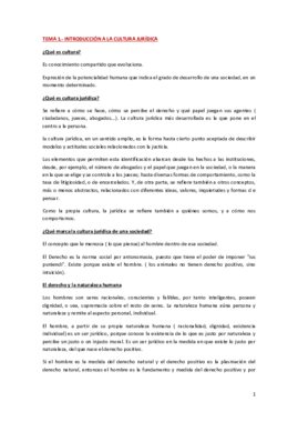 TEMA 1. INTRODUCCIÓN A LA CULTURA JURÍDICA.pdf