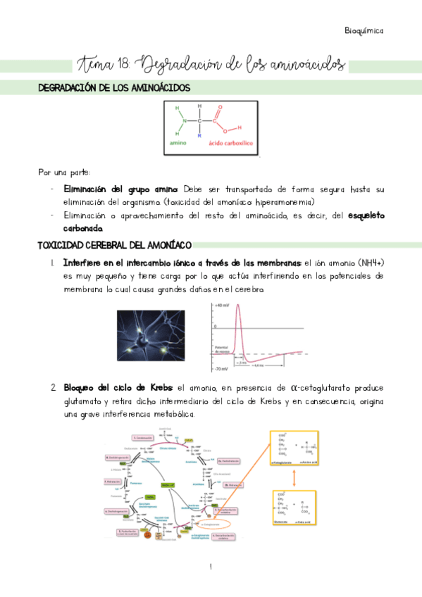 Tema-18.pdf