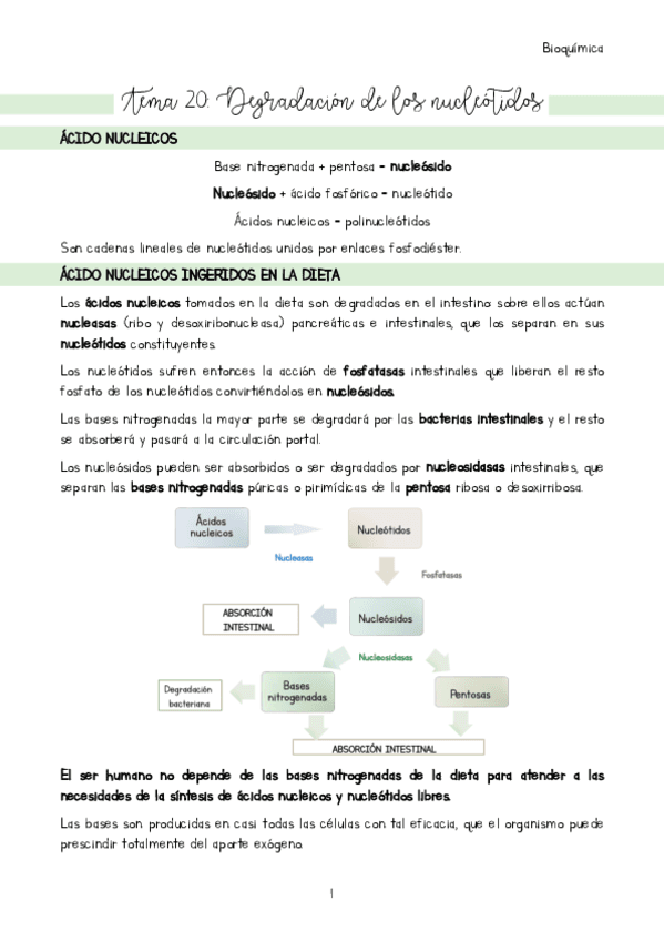 Tema-20-Introduccion.pdf