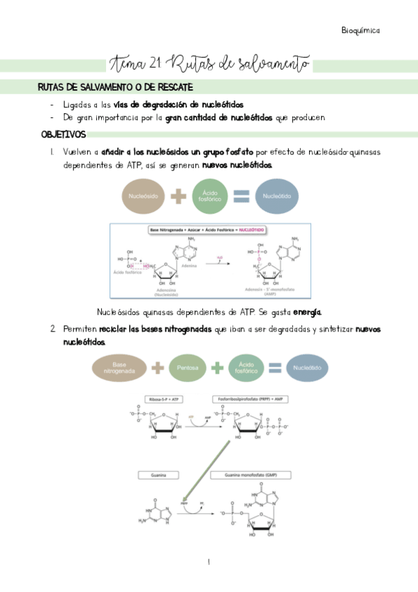 Tema-21.pdf