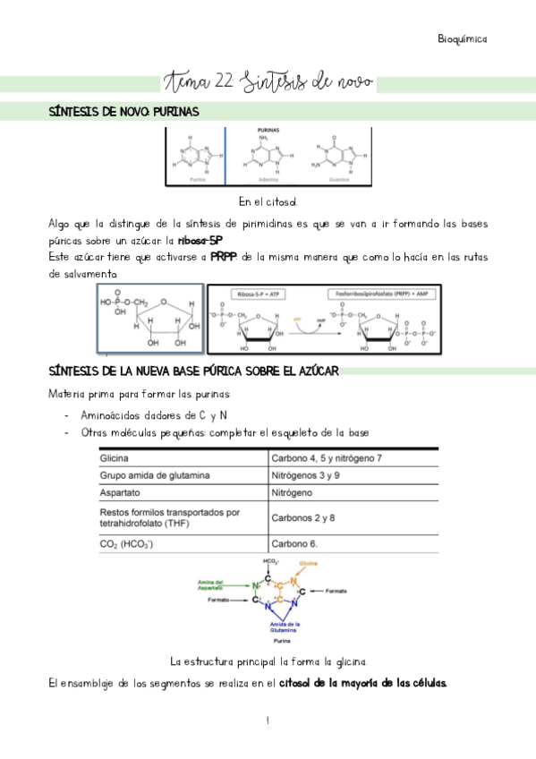 Tema-22.pdf