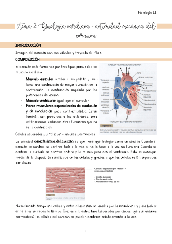 Tema-2.pdf