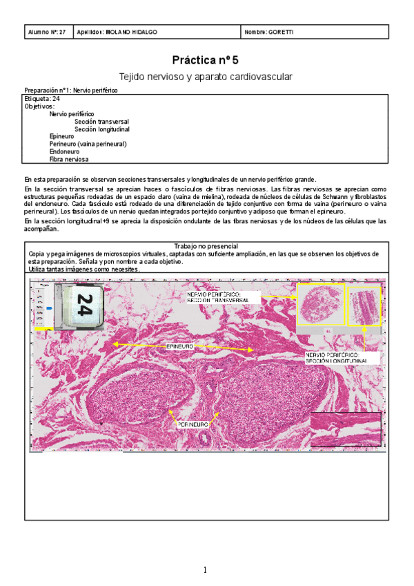 Practica-05-Goretti-Molano-27.docx.pdf