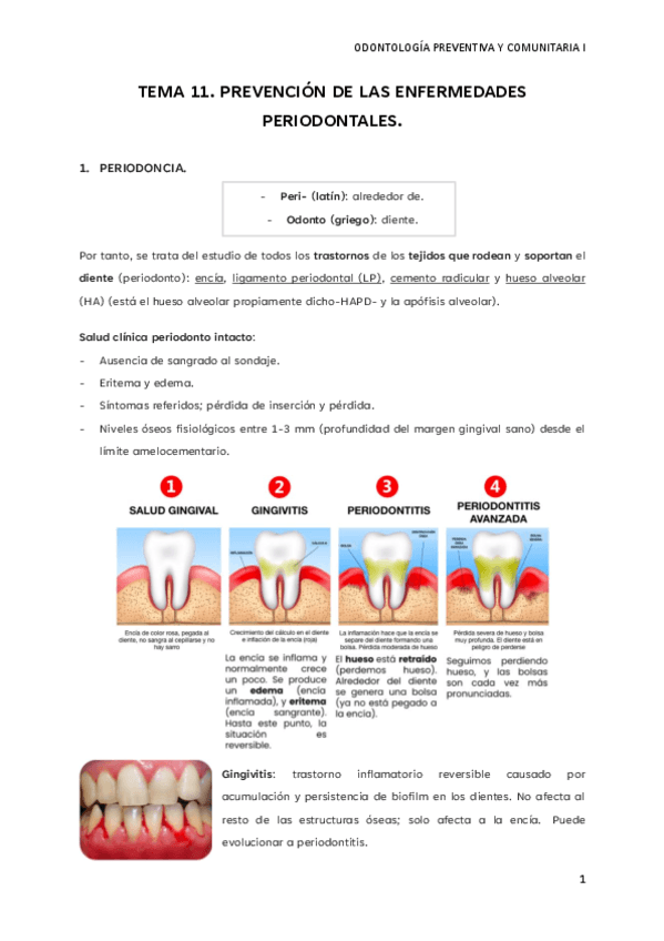 PREVENTIVA-I-TEMA-11.pdf