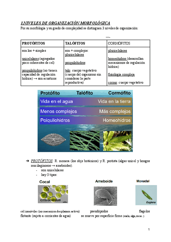 BOTANICA-T2.-ORGANIZACION-Y-REPRODUCCION-DE-VEGETALES.pdf