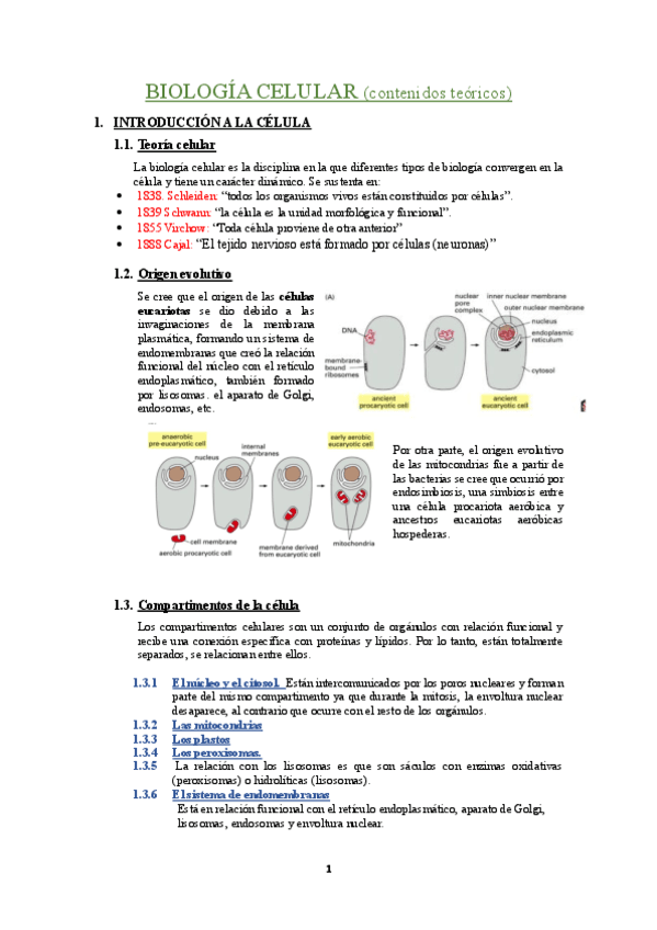 Teoria-de-BIOLOGIA-CELULAR.pdf