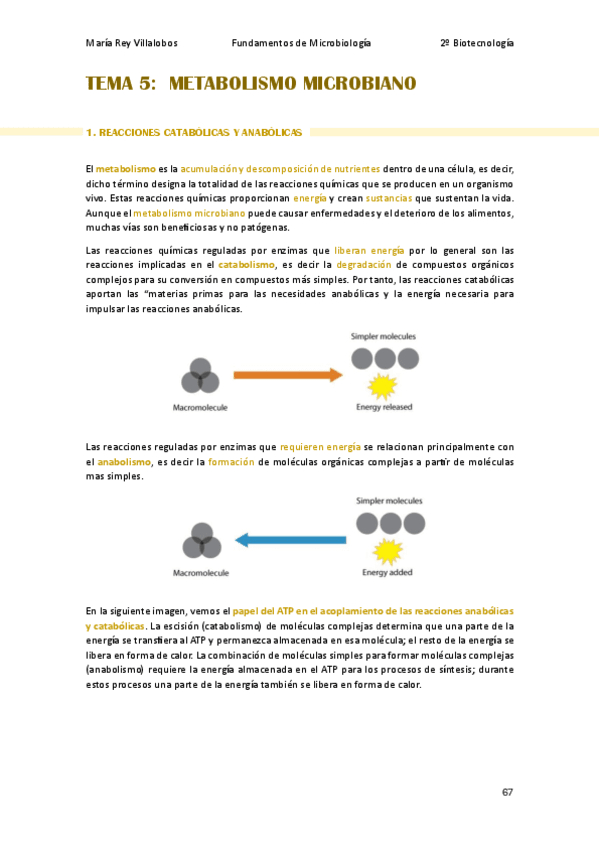 Apuntes-Tema-5-FM.pdf