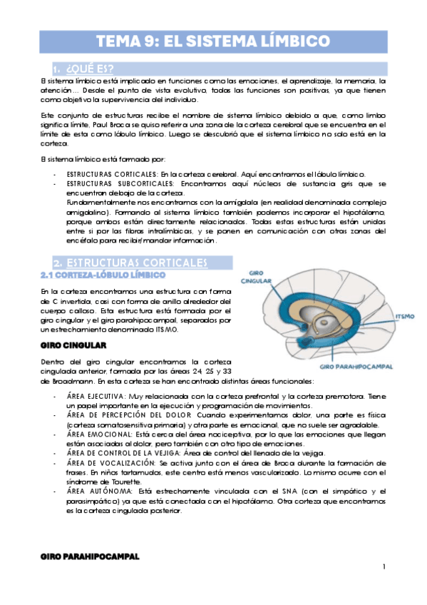 TEMA-9.-EL-SISTEMA-LIMBICO.pdf