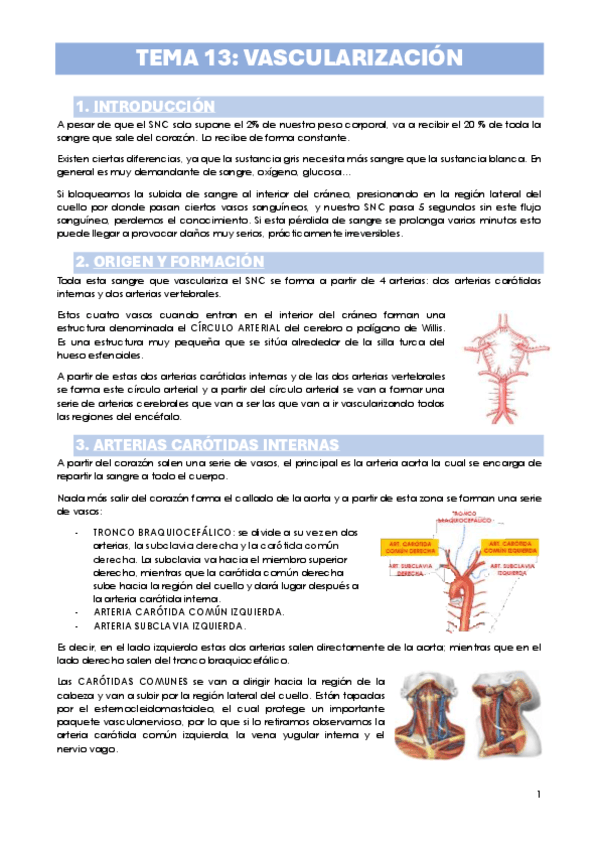 TEMA-13.-VASCULARIZACION-DEL-SN.pdf