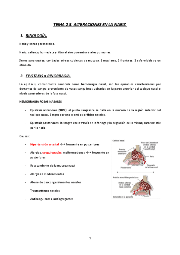 TEMA2.3.-MQ3-23-24-ALTERACIONES-EN-LA-NARIZ.pdf