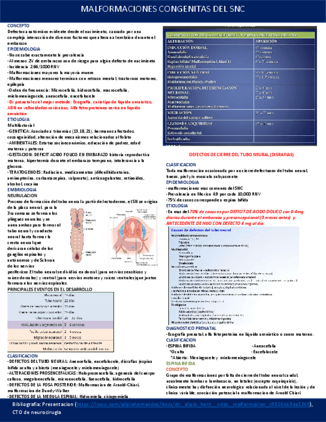 MALFORMACIONES-CONGENITAS-DEL-SISTEMA-NERVIOSO-CENTRAL.pdf