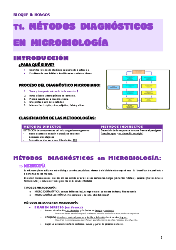 MICRO-MED-T1-Hongos.pdf