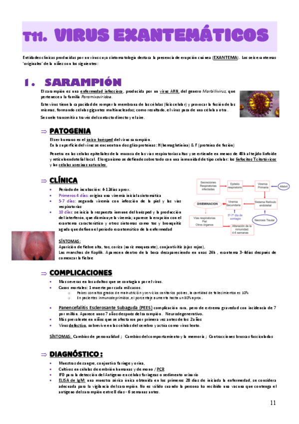 MICRO-MED-T11.-V-EXANTEMATICOS.pdf
