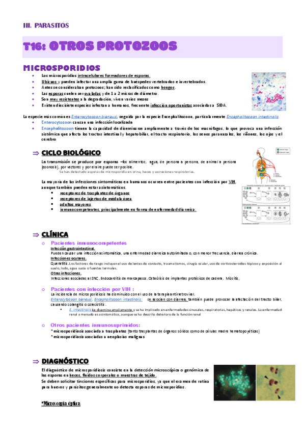 MICRO-MED-T16-T18-y-T19.pdf