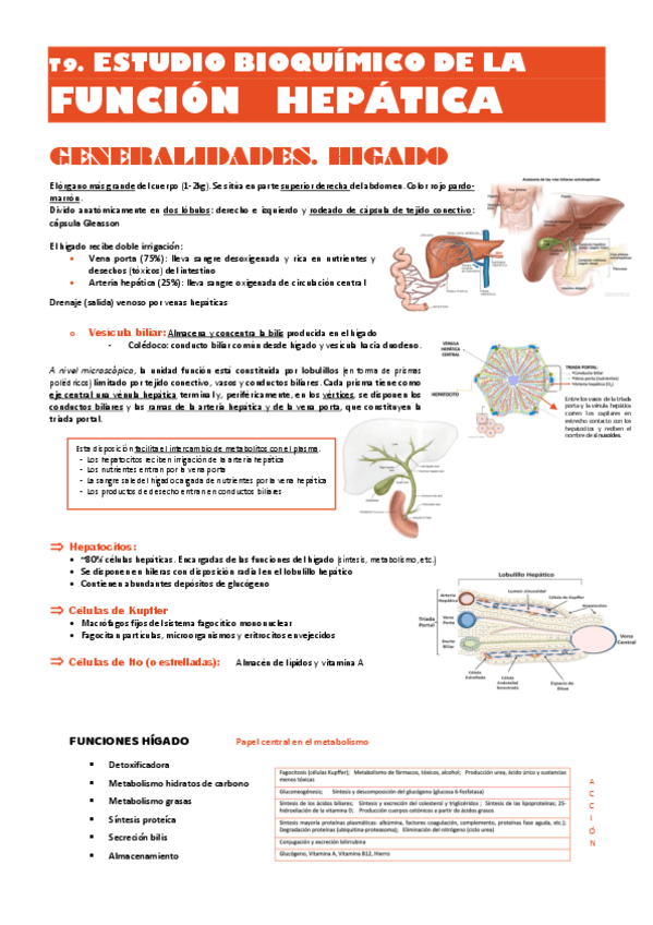 Bioq-clinica-T9-y-T10-Higado-y-proteinas.pdf