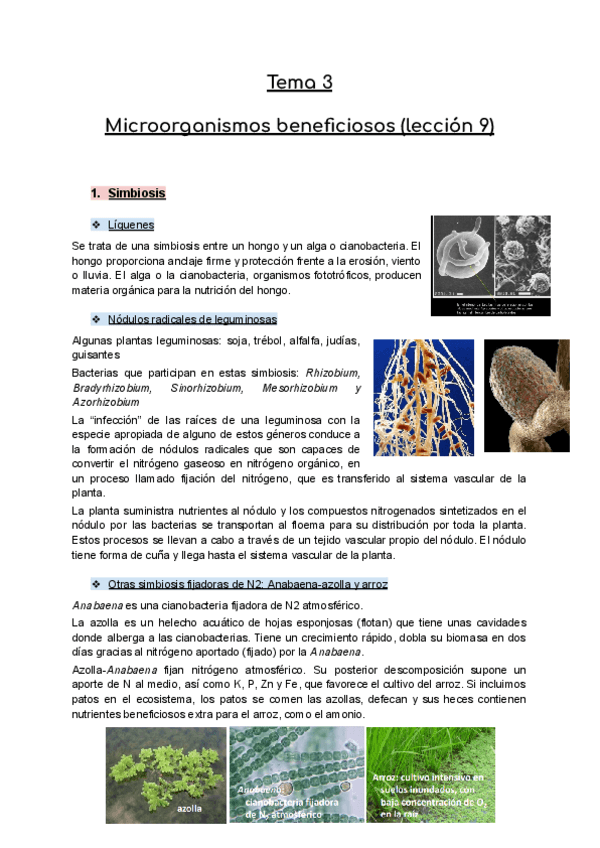 Tema-9-Microbiologia-Microorganismos-beneficiosos.pdf