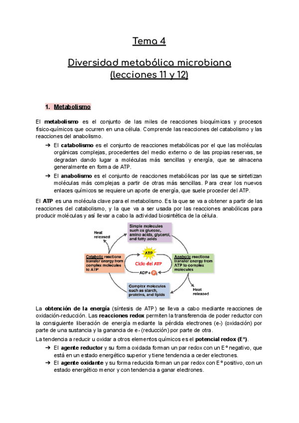 Temas-11-y-12-Microbiologia-Diversidad-metabolica-microbiana.pdf