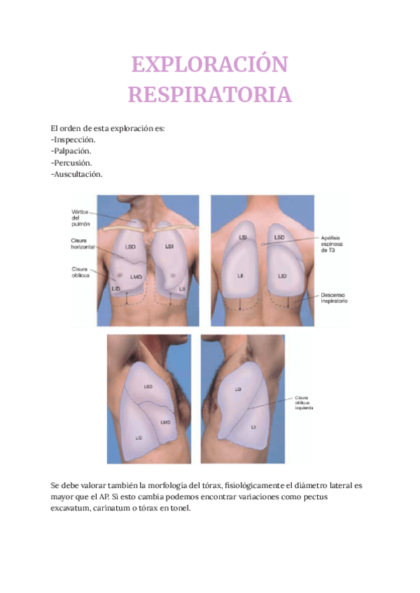 EXPLORACION-RESPIRATORIA.pdf