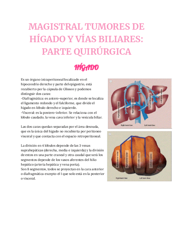 MAGISTRAL-TUMORES-DE-HIGADO-Y-VIAS-BILIARES-PARTE-QUIRURGICA.pdf