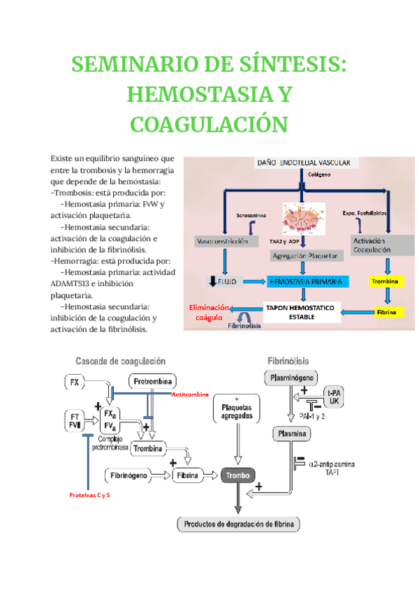 SEMINARIO-DE-SINTESIS-HEMOSTASIA-Y-COAGULACION.pdf