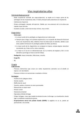 01. Vías respiratorias altas.pdf
