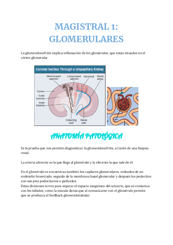 MAGISTRAL-1-GLOMERULARES.pdf