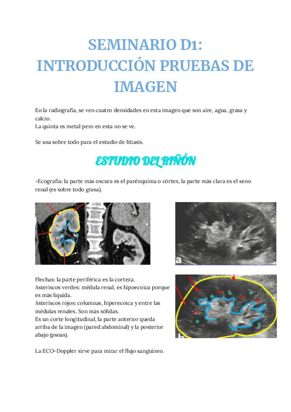 SEMINARIO-D1-INTRODUCCION-PRUEBAS-DE-IMAGEN.pdf
