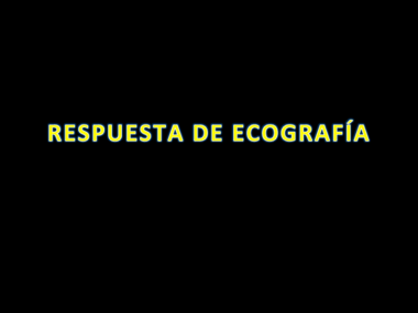 Ecografia_respuestas_practico.pdf