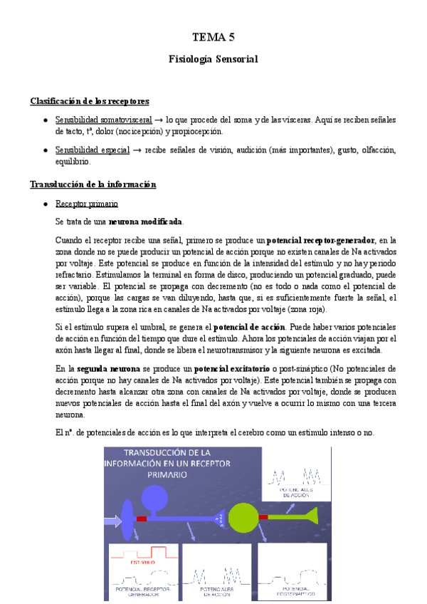 TEMA-5-BFA.pdf