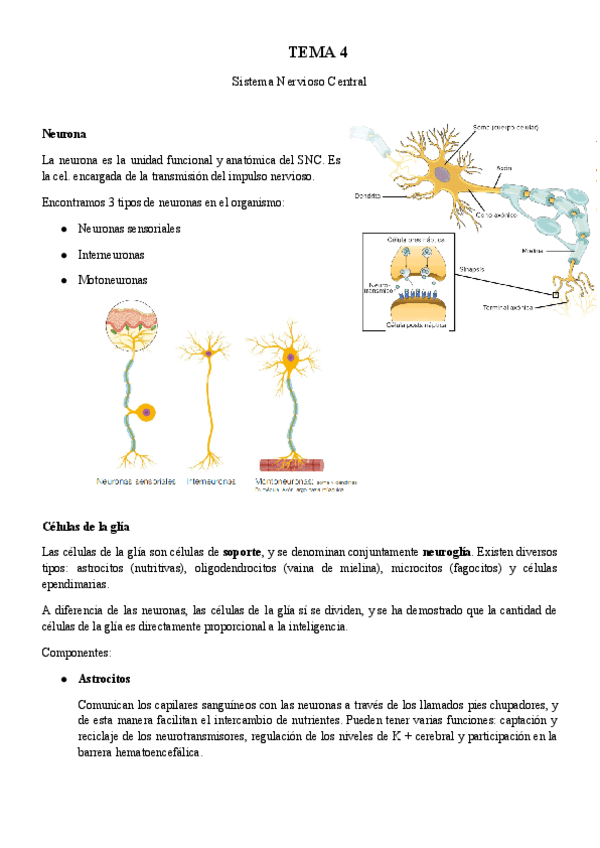 Tema-4.pdf