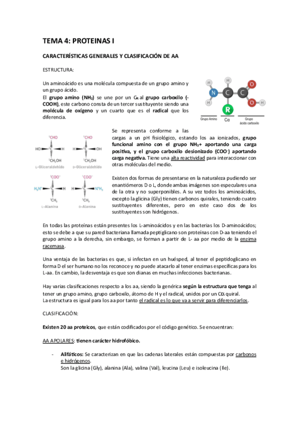 tema-4-bioquimica.pdf