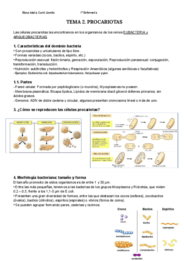 TEMA-2.-PROCARIOTAS-Biologia-Apuntes-Elena-Curro-1.pdf