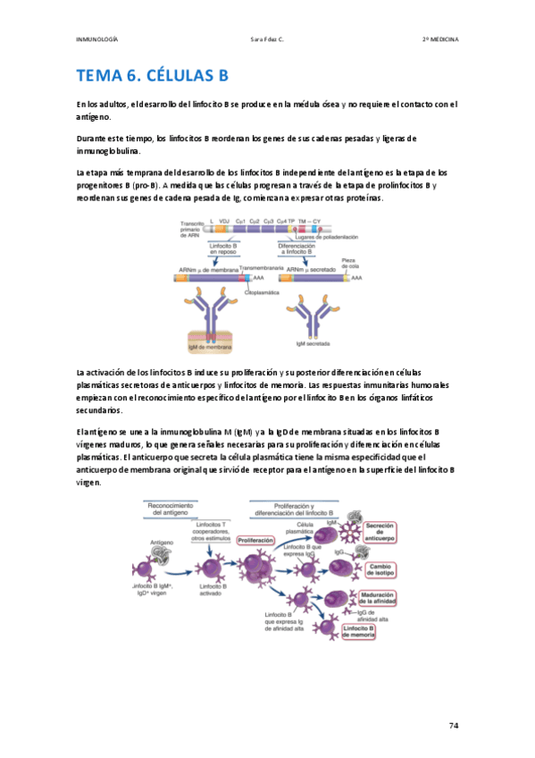 APUNTES-INMUNO-T6.pdf